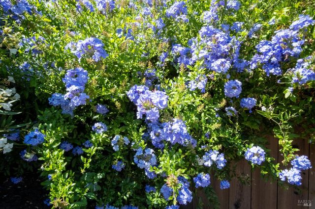 $1,179,000 | 31 Esmeyer Drive, San Rafael, CA 94903