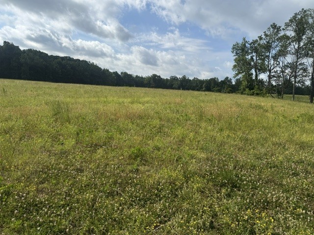 0 Bob Perry Road Bethpage, TN 37022 - Photo 28 of 28 Gallery Image 28