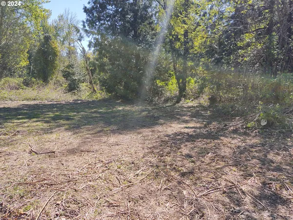 a view of a yard with a fountain