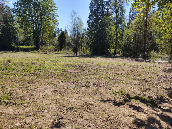 a view of outdoor space with trees