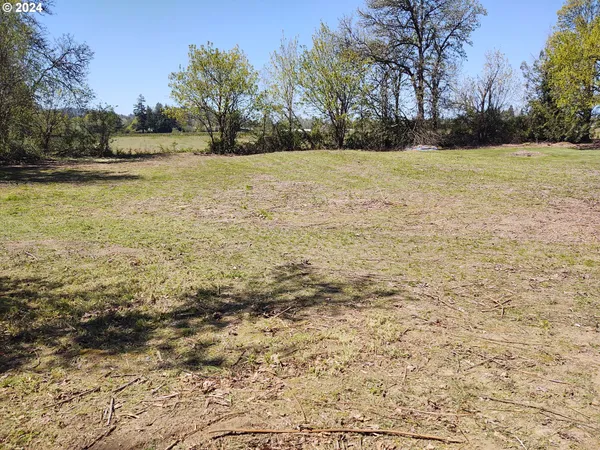 a view of an outdoor space and a yard