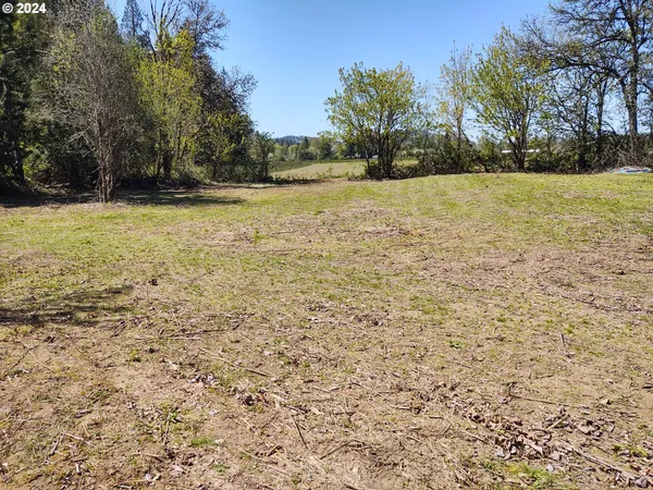 a view of a yard with a house and large trees
