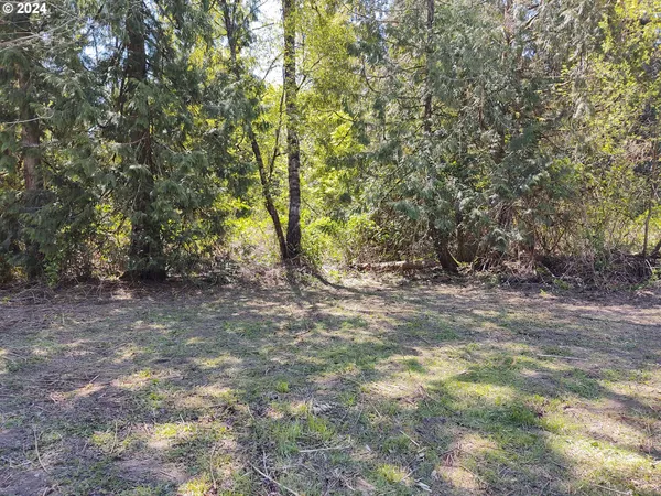 a view of a yard with trees