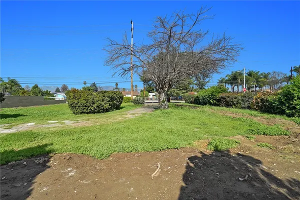 a view of a garden with trees