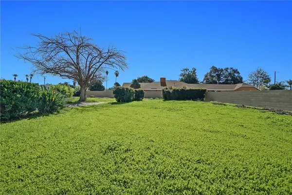 a view of a garden with a building in the background