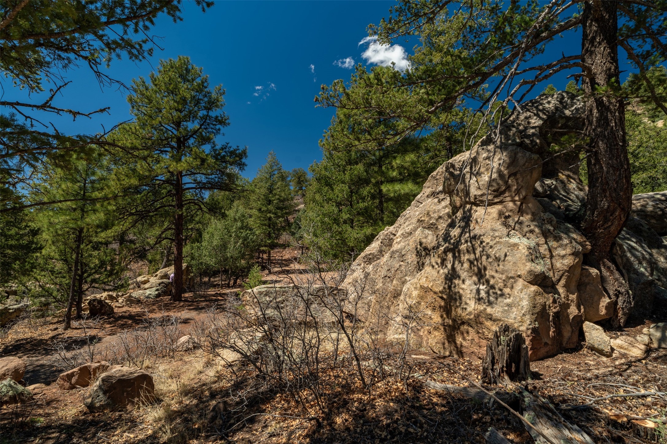 30 Monte La Cueva Road Glorieta, NM 87535 - Photo 46 of 91