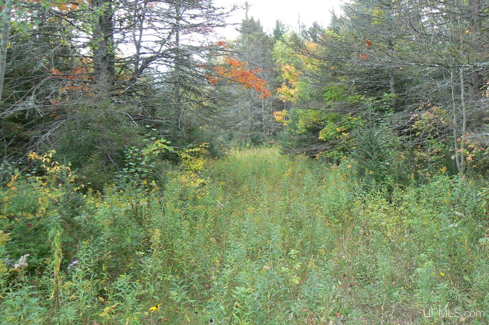 Tbd Tbd H-44 Road Trenary, MI 49891 - Photo 2 of 8