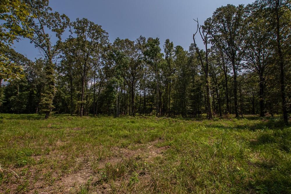 0 Williams Lake Road Pineville, LA 71360 - Photo 1 of 5 Gallery Image 1