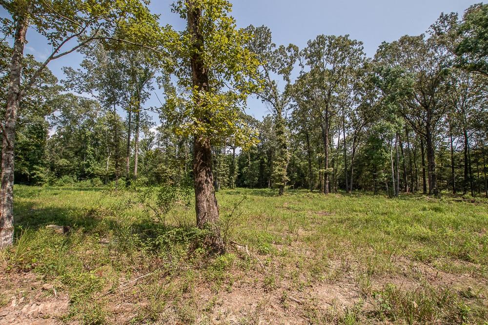0 Williams Lake Road Pineville, LA 71360 - Photo 2 of 5 Gallery Image 2