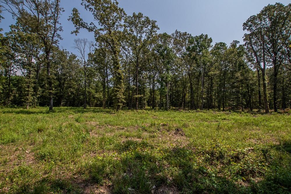 0 Williams Lake Road Pineville, LA 71360 - Photo 3 of 5 Gallery Image 3