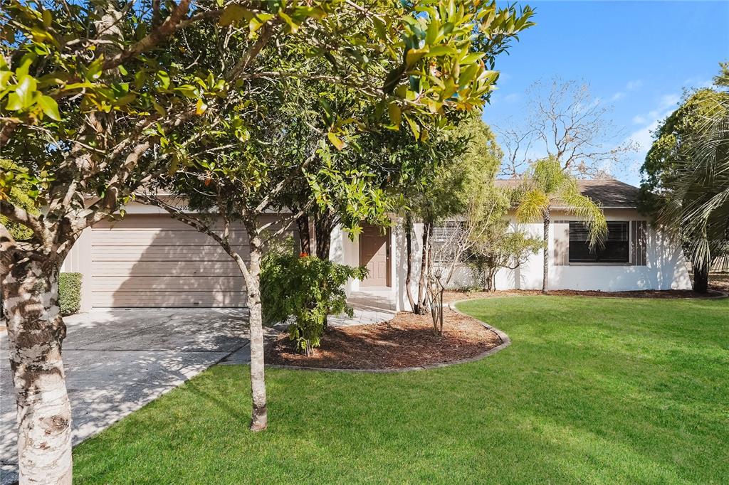 12165 Rockford Street Spring Hill, FL 34608 - Photo 1 of 16 a view of a patio with a table and chairs under a large tree