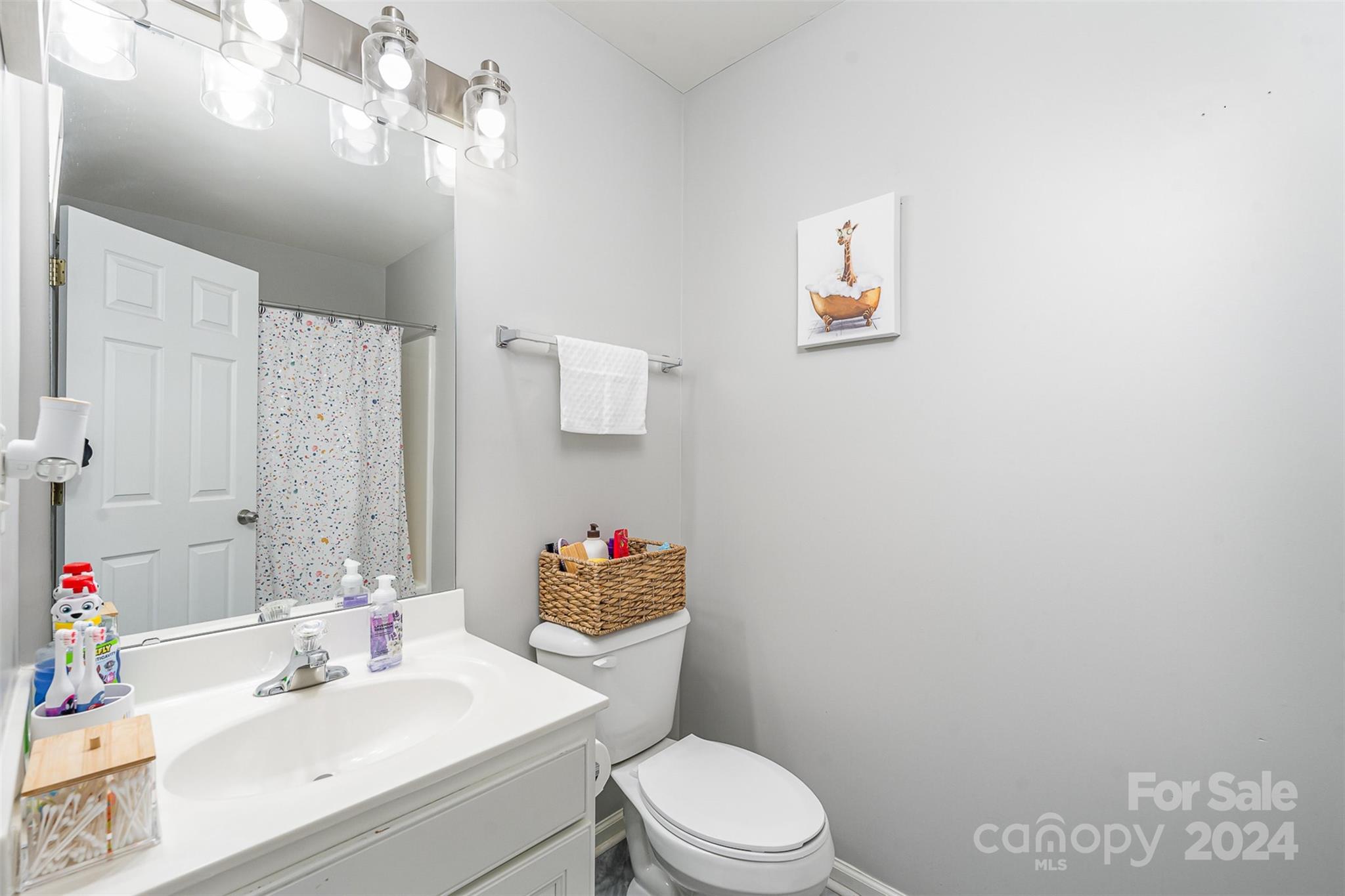 1308 Smokey Quartz Lane Fort Mill, SC 29708 - Photo 17 of 24 a bathroom with a sink vanity mirror and toilet