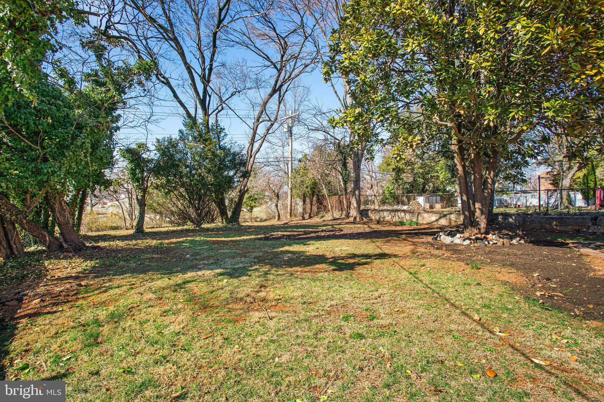 1030 Collwood Road Catonsville, MD 21228 - Photo 47 of 48 a view of yard with tree