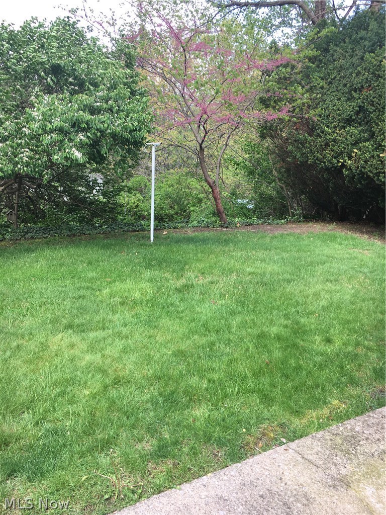 1551 Riverside Drive Akron, OH 44310 - Photo 2 of 21 Gallery Image 2