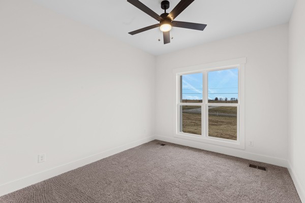5558 Borthick Road Springfield, TN 37172 - Photo 34 of 43 an empty room with a window and ceiling fan