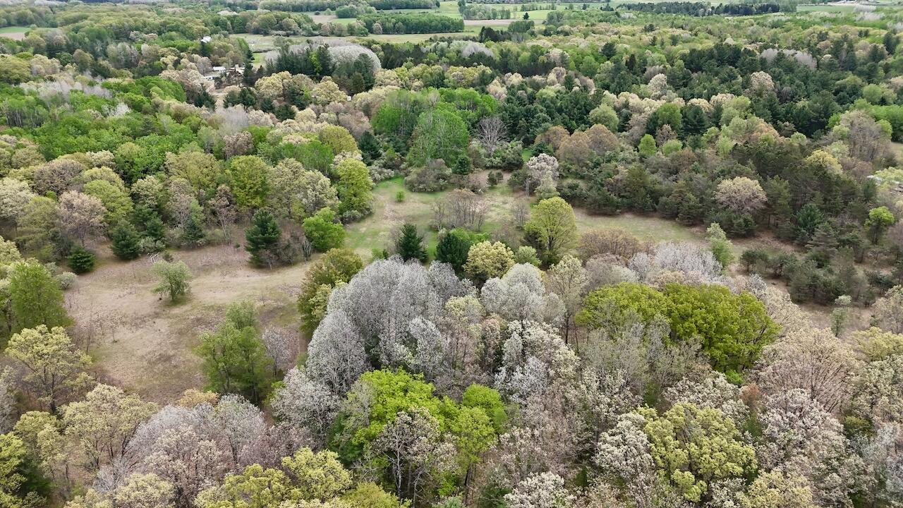 6153 South Branch Road Branch, MI 49402 - Photo 5 of 70 4