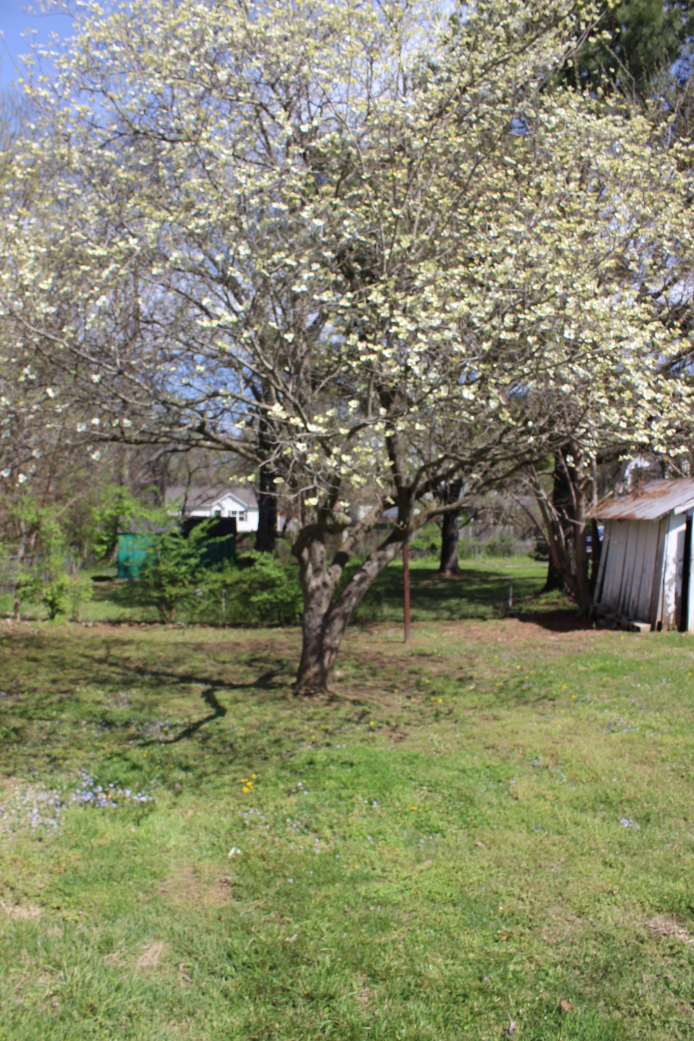 611 Hayes Street Springfield, TN 37172 - Photo 8 of 23 Gallery Image 8