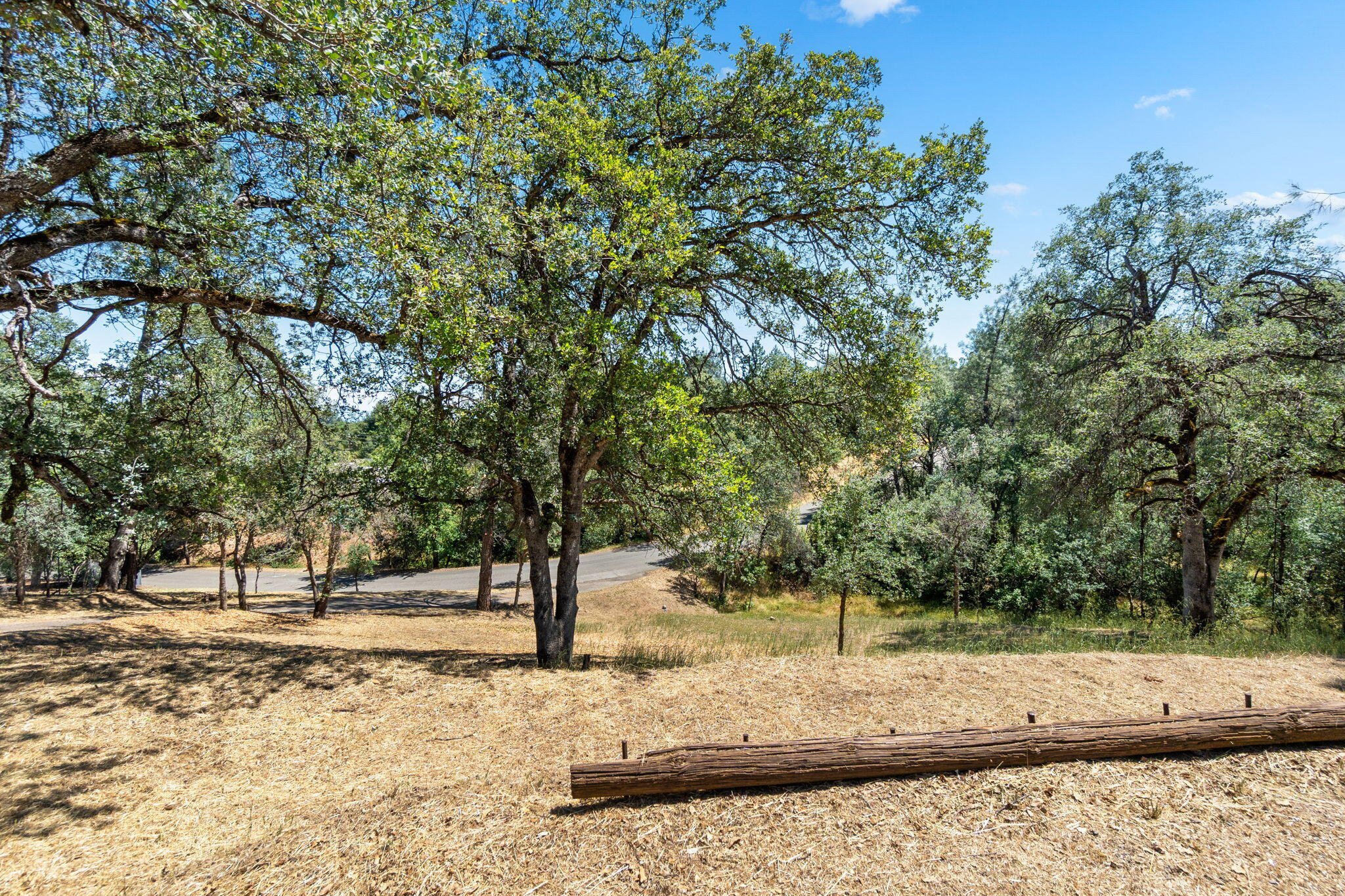8741 Prospectors Road Redding, CA 96001 - Photo 46 of 60 Yard