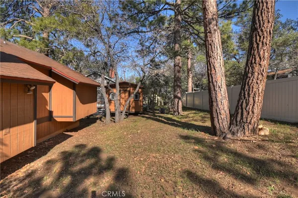 a view of backyard with large tree