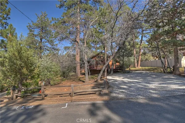 a view of a yard with a tree