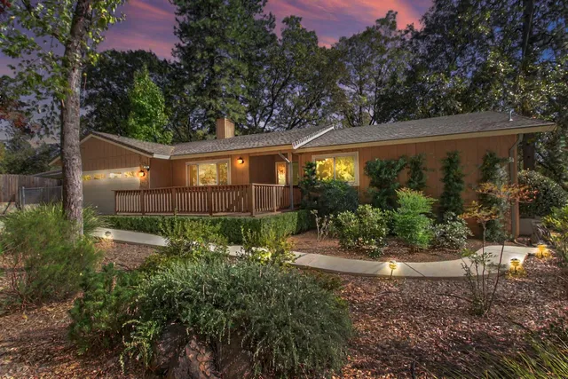 a view of a backyard with plants