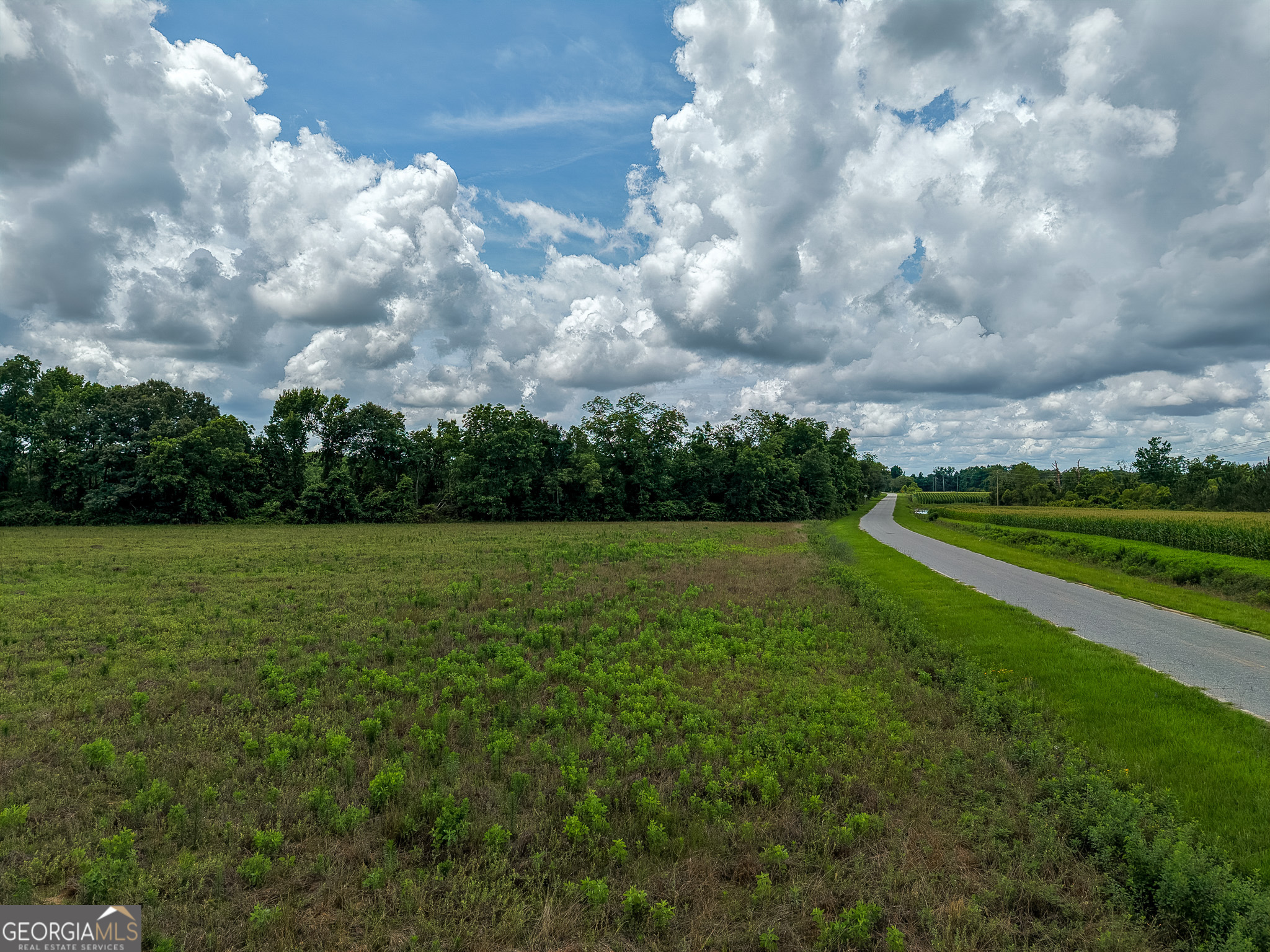 1 Haynes Road Edison, GA 39846 - Photo 11 of 25