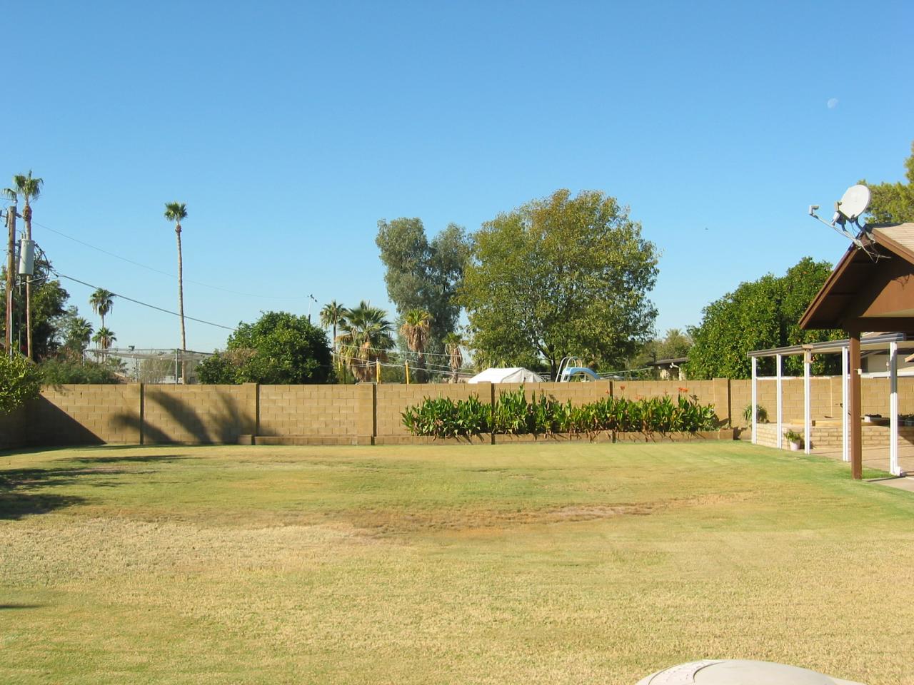 3101 West Cactus Road Phoenix, AZ 85029 - Photo 12 of 26 Yard 1