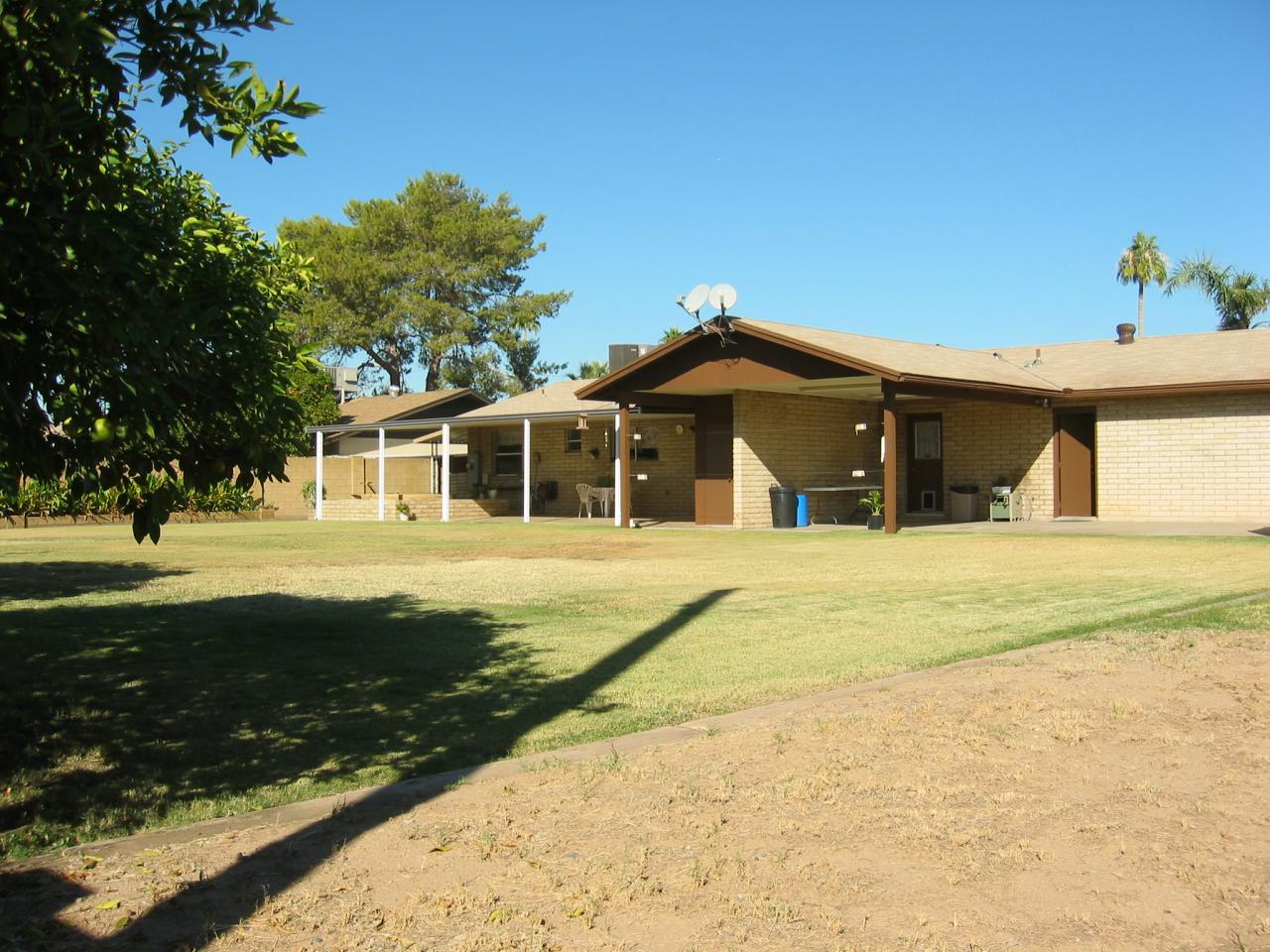 3101 West Cactus Road Phoenix, AZ 85029 - Photo 14 of 26 Back yard
