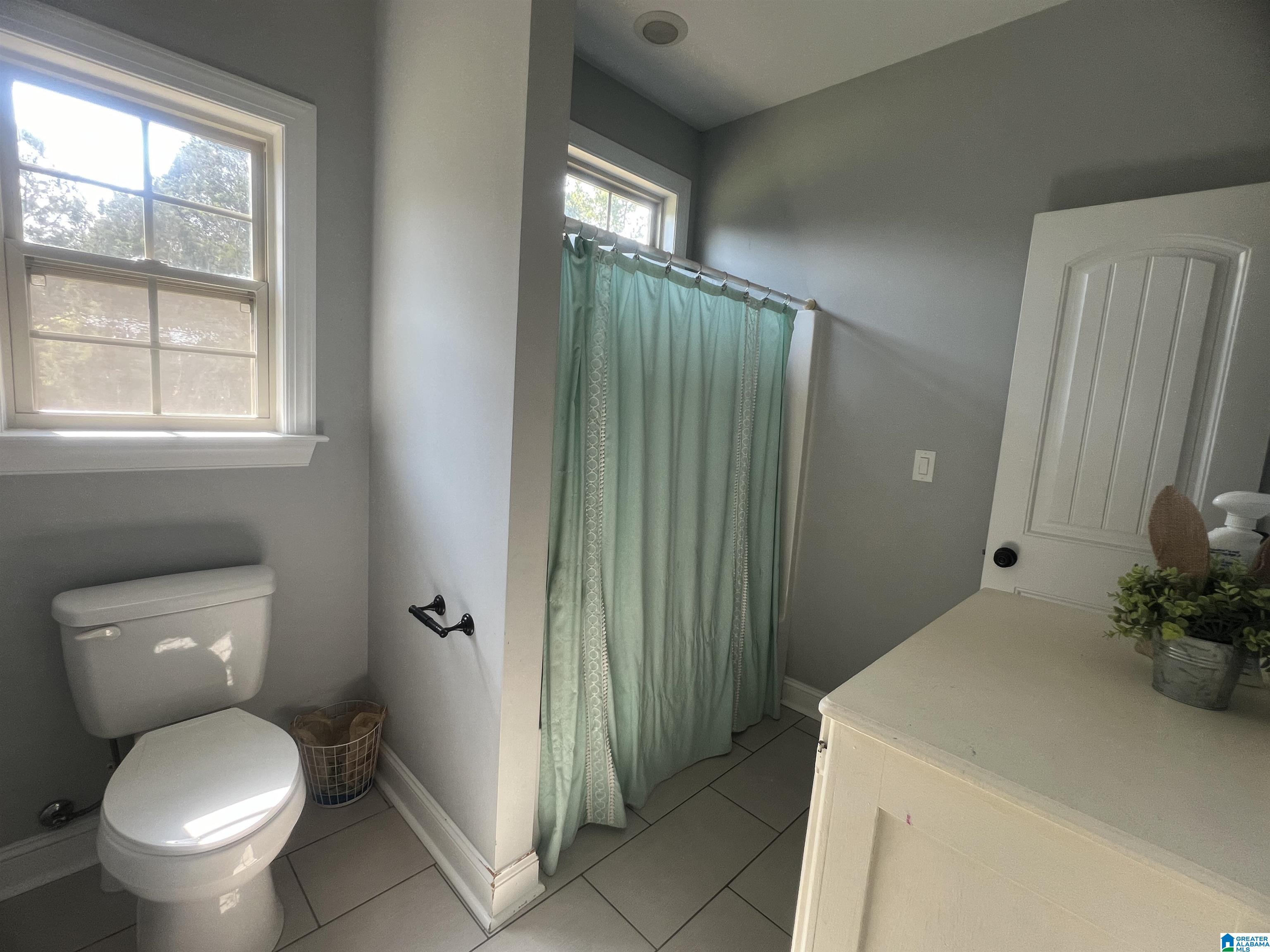 20585 Pleasant Grove Road Vance, AL 35490 - Photo 40 of 59