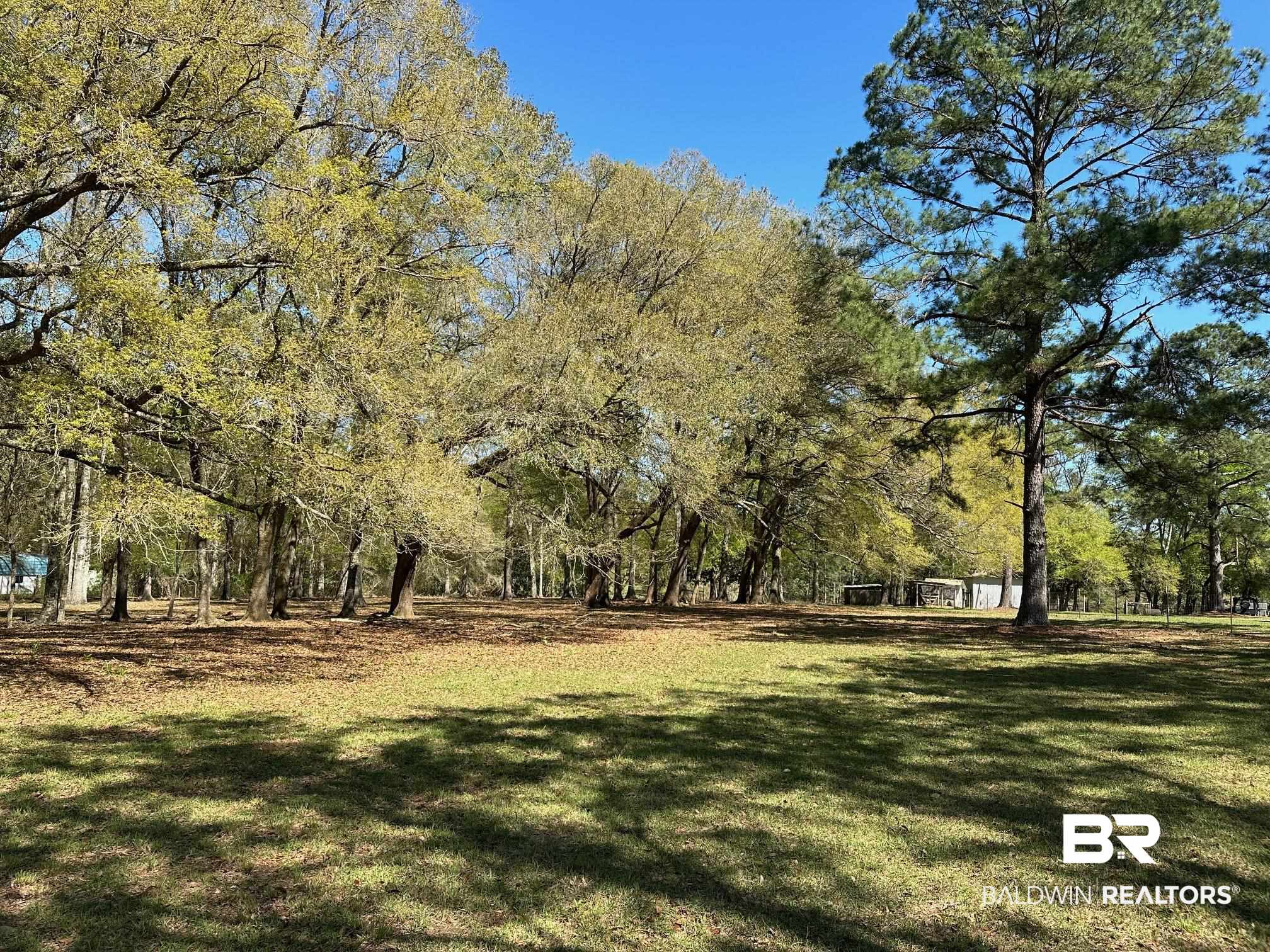 0 Rada Road Silverhill, AL 36576 - Photo 2 of 8 View from the Road