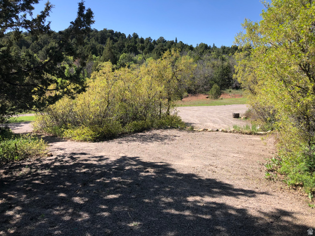 149 Meadow Road, Unit 149 Mount Pleasant, UT 84647 - Photo 5 of 16 View of street featuring a wooded view