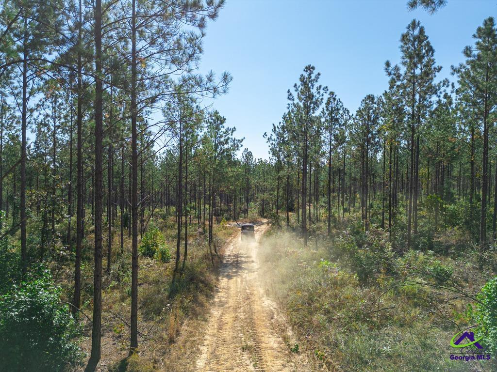 Ohp Dominy Road Toomsboro, GA 31090 - Photo 4 of 24