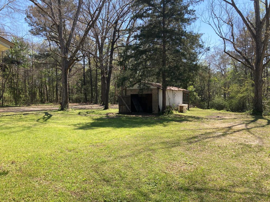 313 Ridge Road Castleberry, AL 36432 - Photo 33 of 35