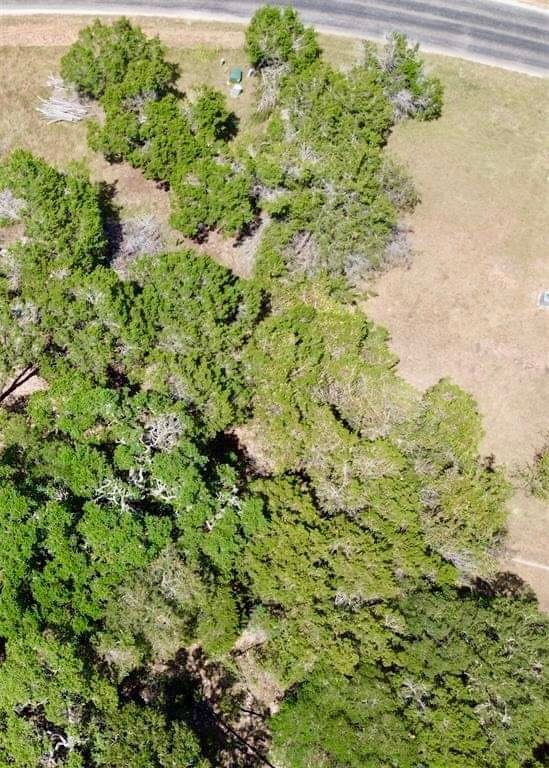 237 Pleasant Valley Road Wimberley, TX 78676 - Photo 5 of 8 a view of a garden with a plant