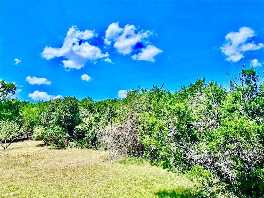 237 Pleasant Valley Road Wimberley, TX 78676 - Photo 7 of 8 a view of a flower