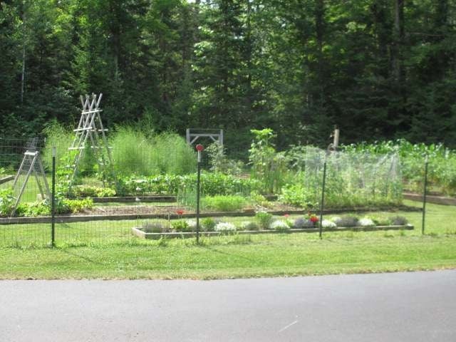 4920 Little Pike Road Mercer, WI 54547 - Photo 13 of 20 Gallery Image 13