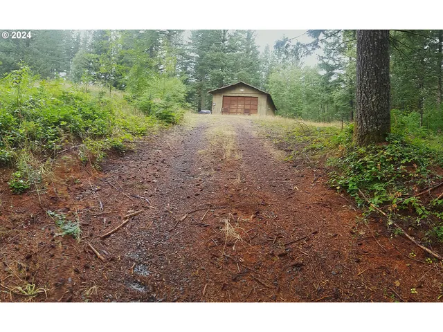a view of a big yard with lots of green space