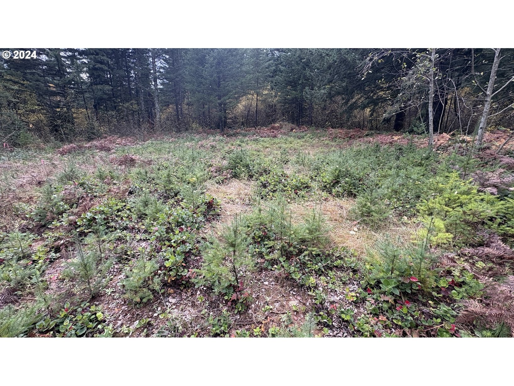 32218 Northeast 86th Street Camas, WA 98607 - Photo 11 of 23 a black and white photo of a house