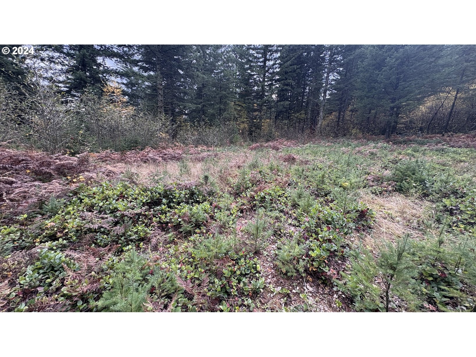 32218 Northeast 86th Street Camas, WA 98607 - Photo 12 of 23 a open area of a house