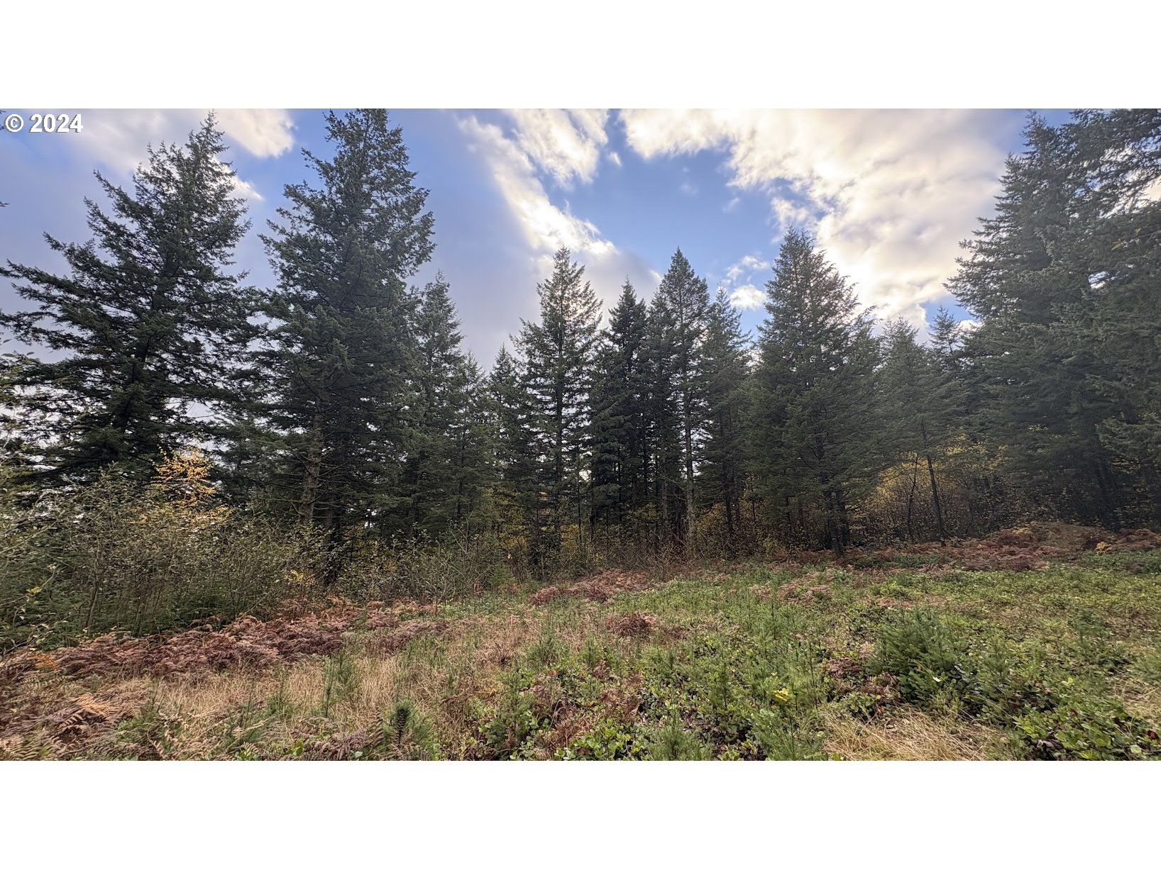 32218 Northeast 86th Street Camas, WA 98607 - Photo 13 of 23 a black and white photo of a house