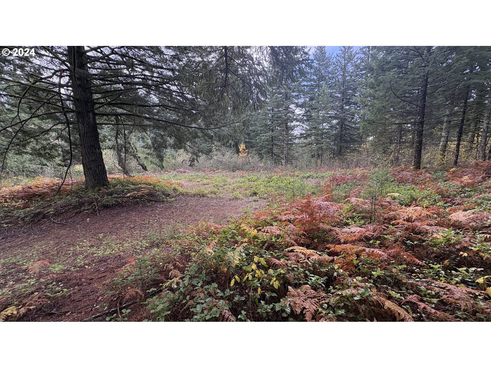 32218 Northeast 86th Street Camas, WA 98607 - Photo 15 of 23 a black and white photo of a house