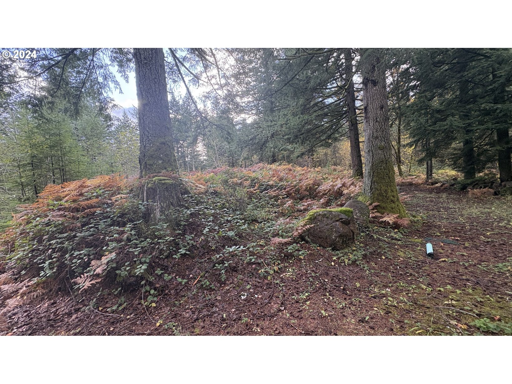 32218 Northeast 86th Street Camas, WA 98607 - Photo 16 of 23 a black and white photo of a house