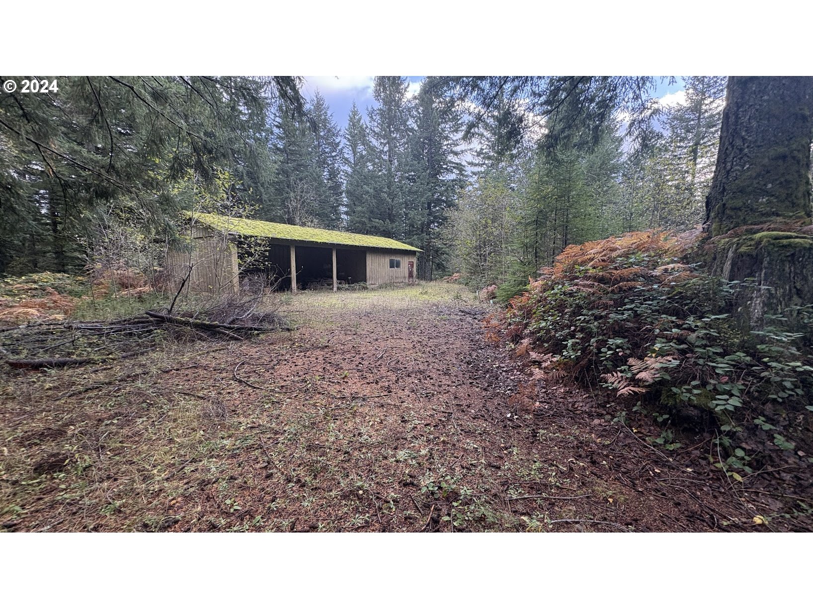 32218 Northeast 86th Street Camas, WA 98607 - Photo 17 of 23 a black and white photo of a house
