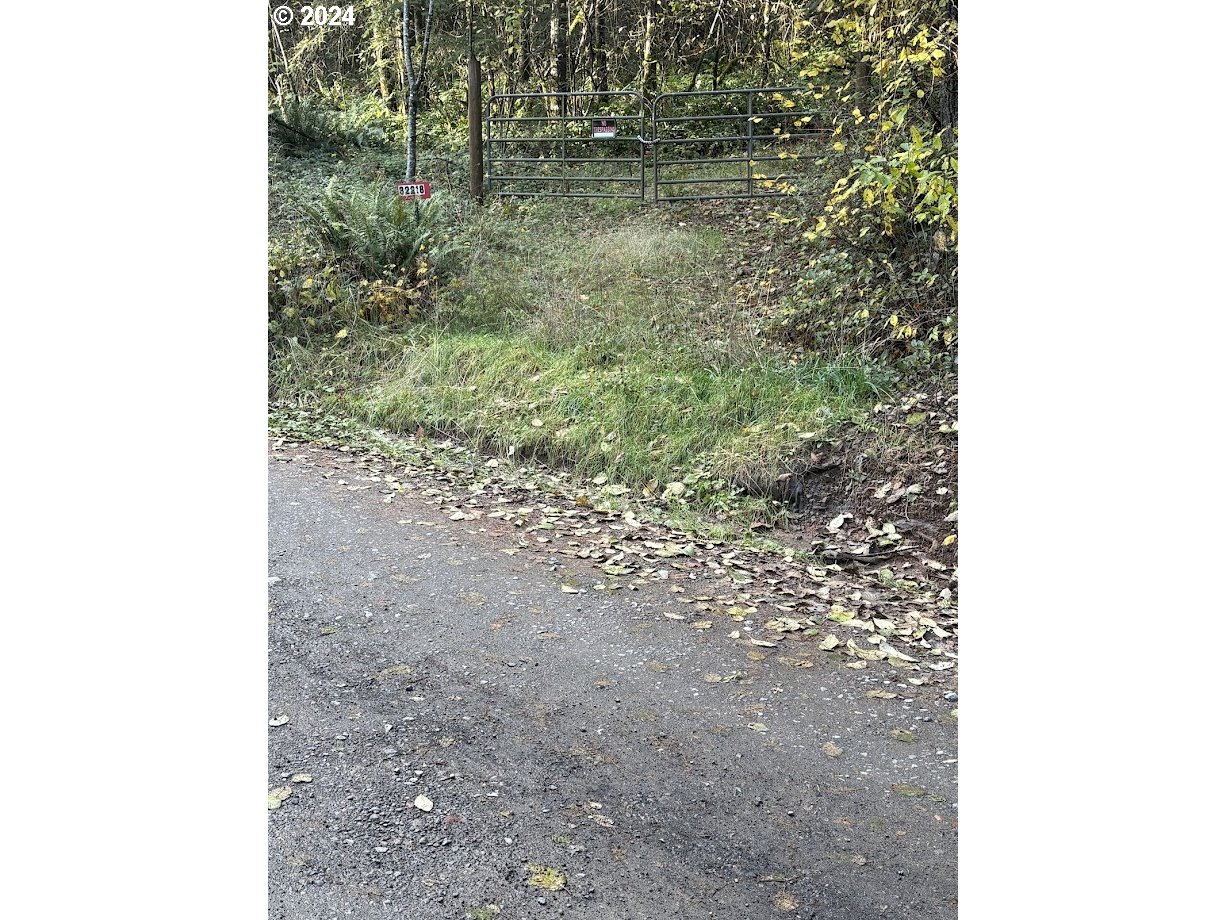 32218 Northeast 86th Street Camas, WA 98607 - Photo 22 of 23 a close up of a plant in a pot