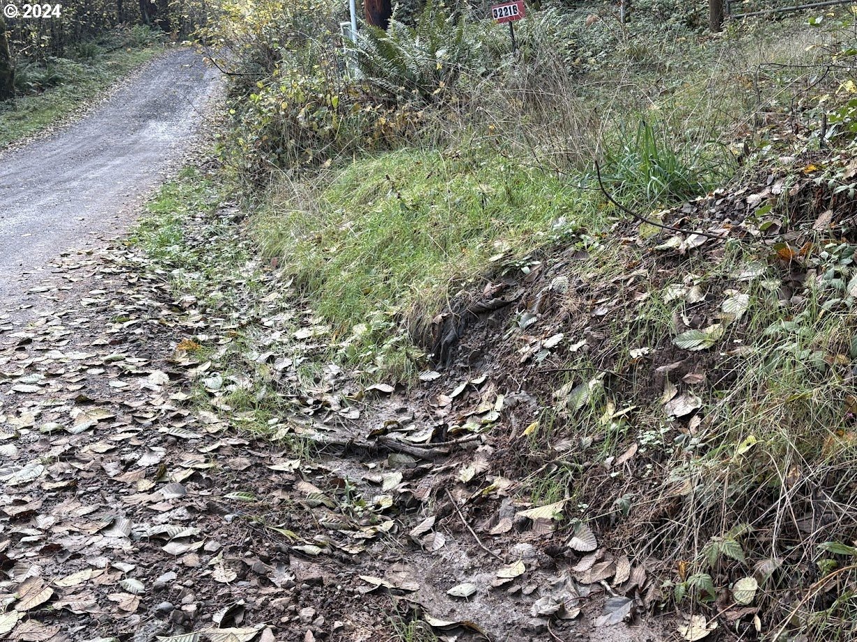 32218 Northeast 86th Street Camas, WA 98607 - Photo 23 of 23 a view of a large yard with lots of green space