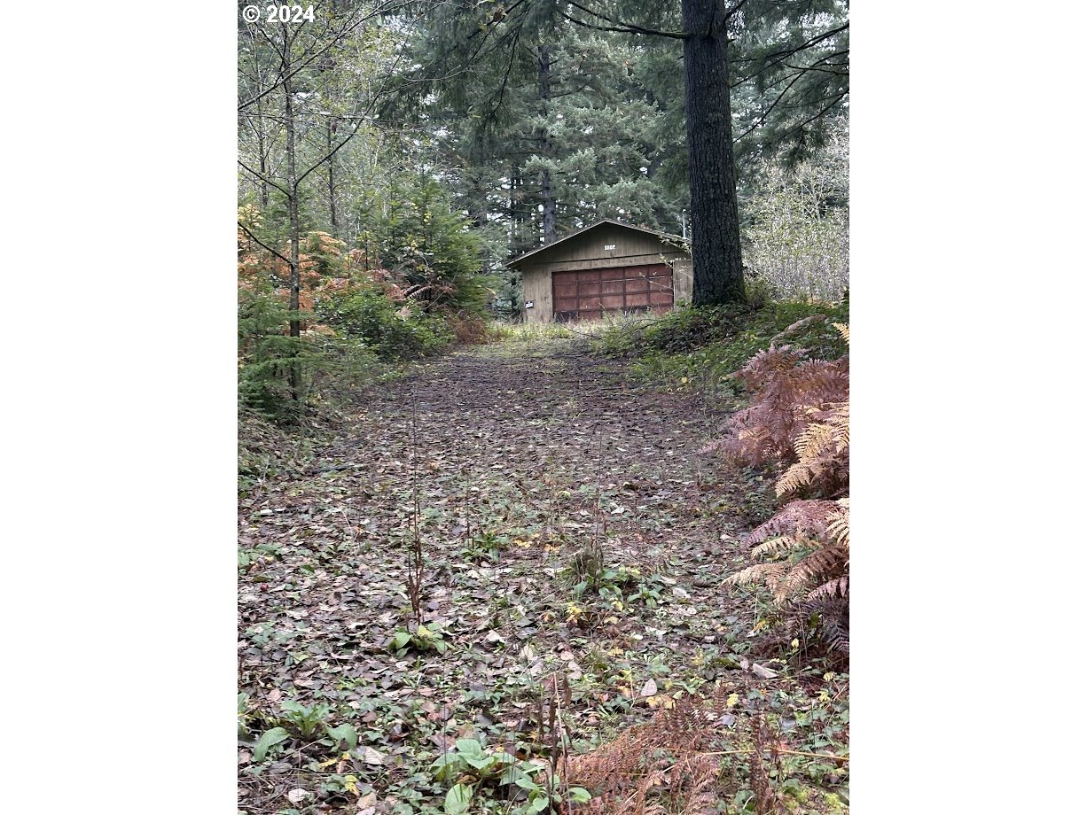 32218 Northeast 86th Street Camas, WA 98607 - Photo 5 of 23 a view of a backyard with a trees