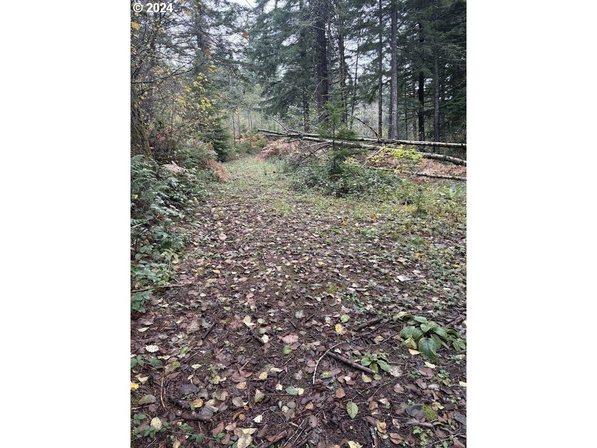 32218 Northeast 86th Street Camas, WA 98607 - Photo 7 of 23 a view of a yard