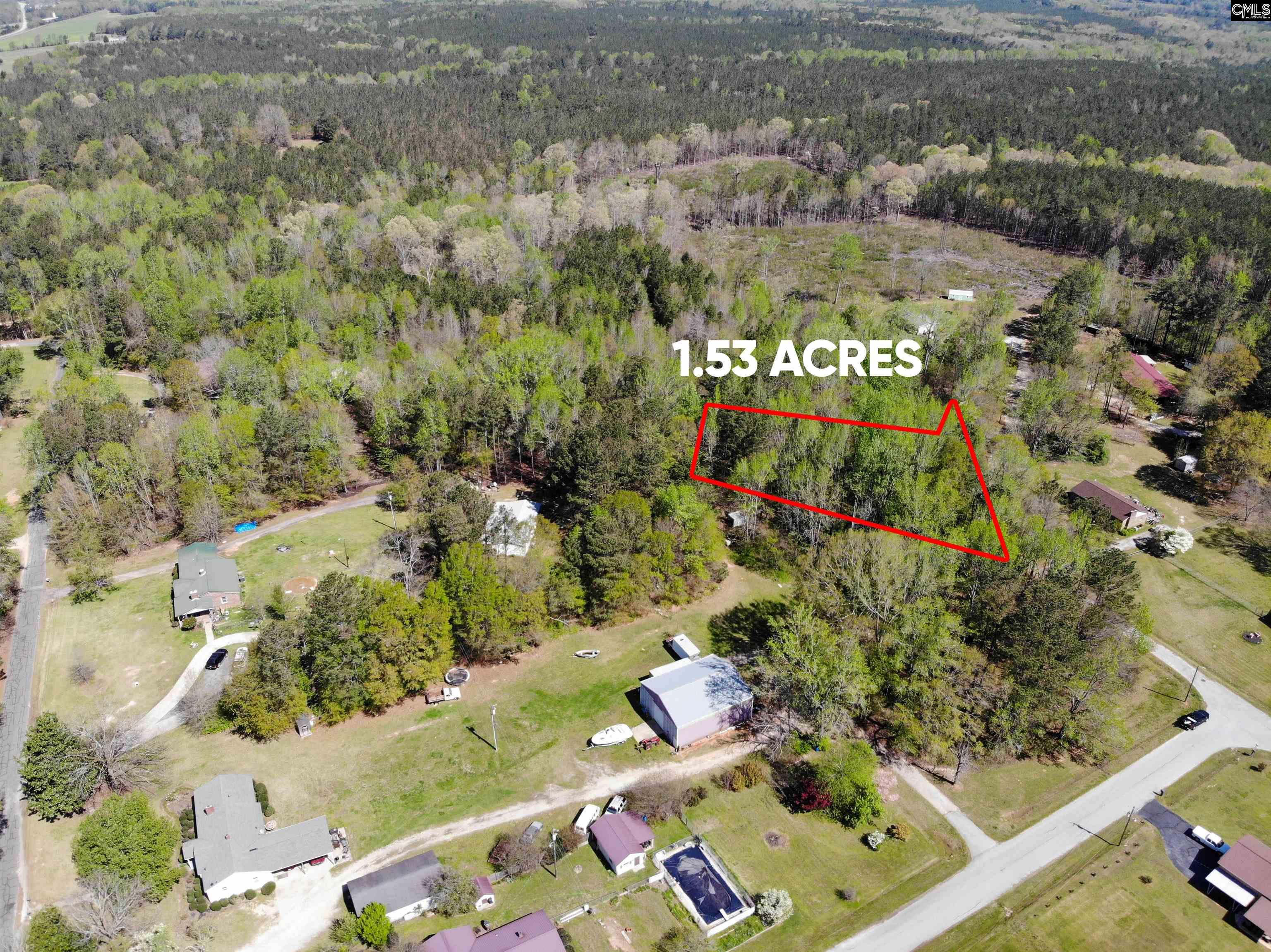 Tbd James Road Joanna, SC 29351 - Photo 19 of 82