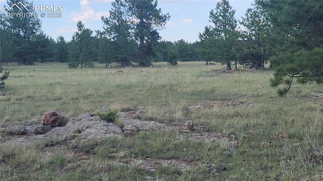 101-b1 Ring Road Guffey, CO 80820 - Photo 7 of 9