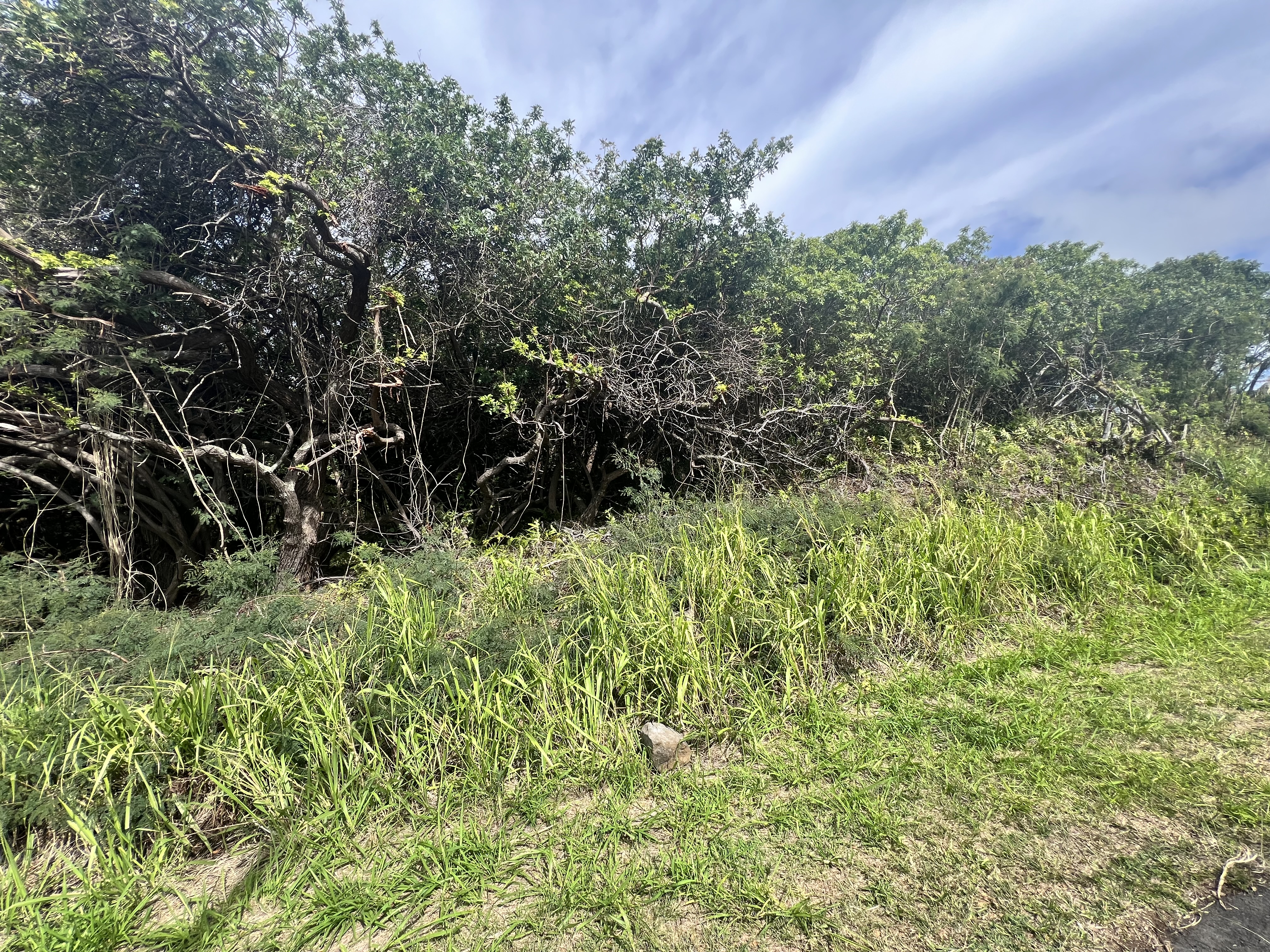 361 Kaulua Street Naalehu, HI 96772 - Photo 6 of 6
